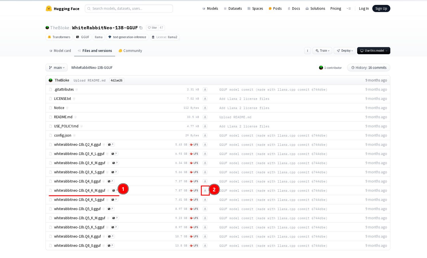 Unlocking the power of WhiteRabbitNeo AI Security Model with Ollama